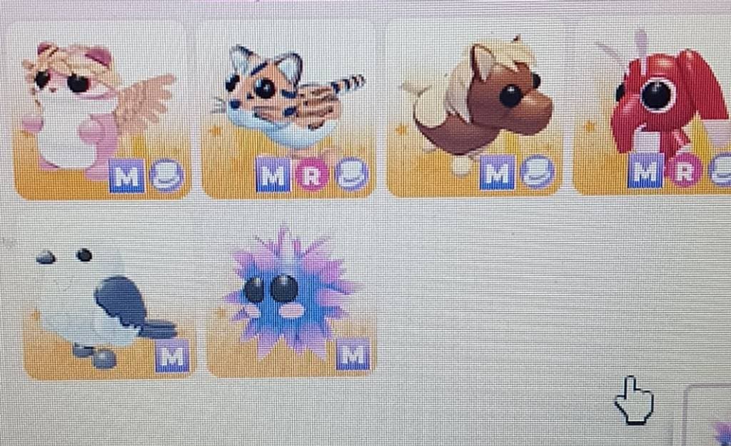 Trading this for upgrade